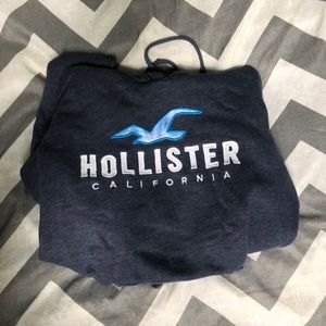 Hollister Logo Hoodie